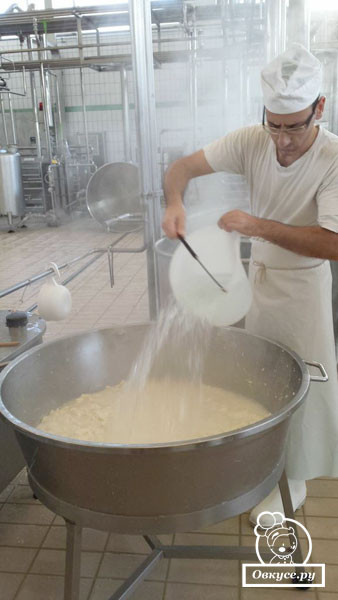 Путешествие со вкусом по Италии. Производство сыра моцарелла и рикотта