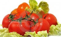 «Капустные» помидоры