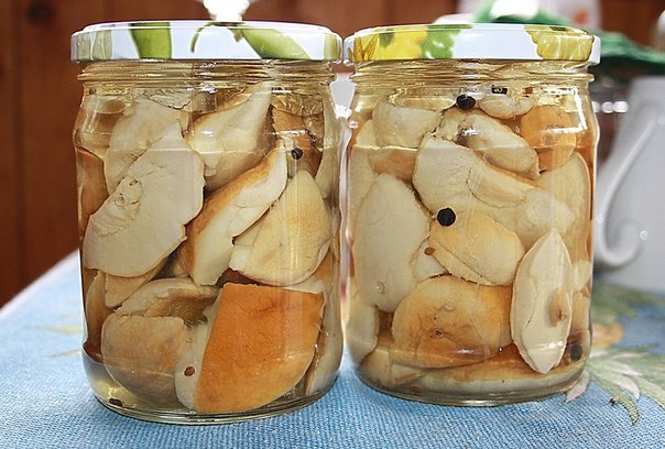 Маринованные белые грибы с луком