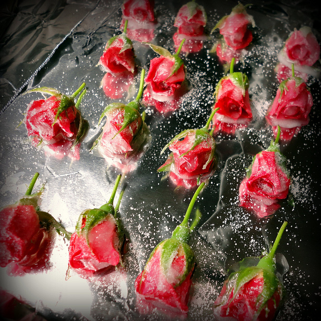 Фото Мастер -класс.засахаренные цветы для оформления десертов №1