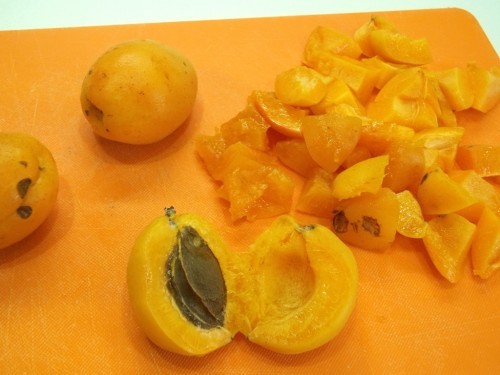 Фото Овсяная каша с абрикосами №6