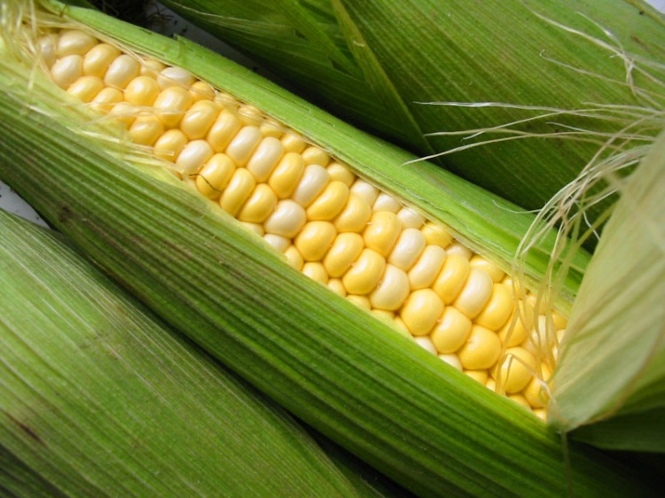 Фото Маринованная молодая кукуруза №2